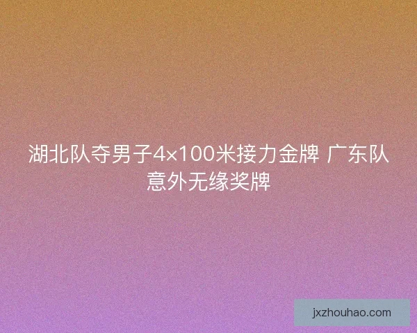 湖北队夺男子4×100米接力金牌 广东队意外无缘奖牌
